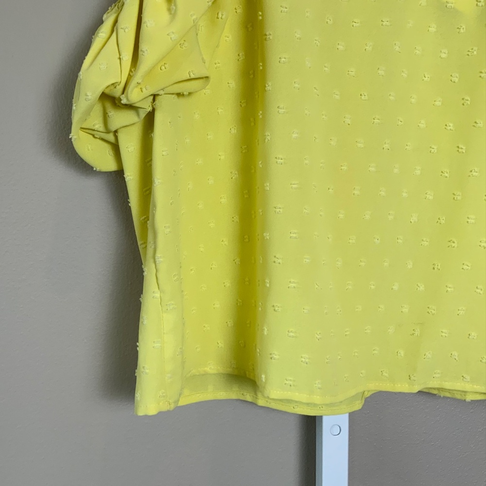 THML Ruffle Sleeve Top - Picture 9 of 16